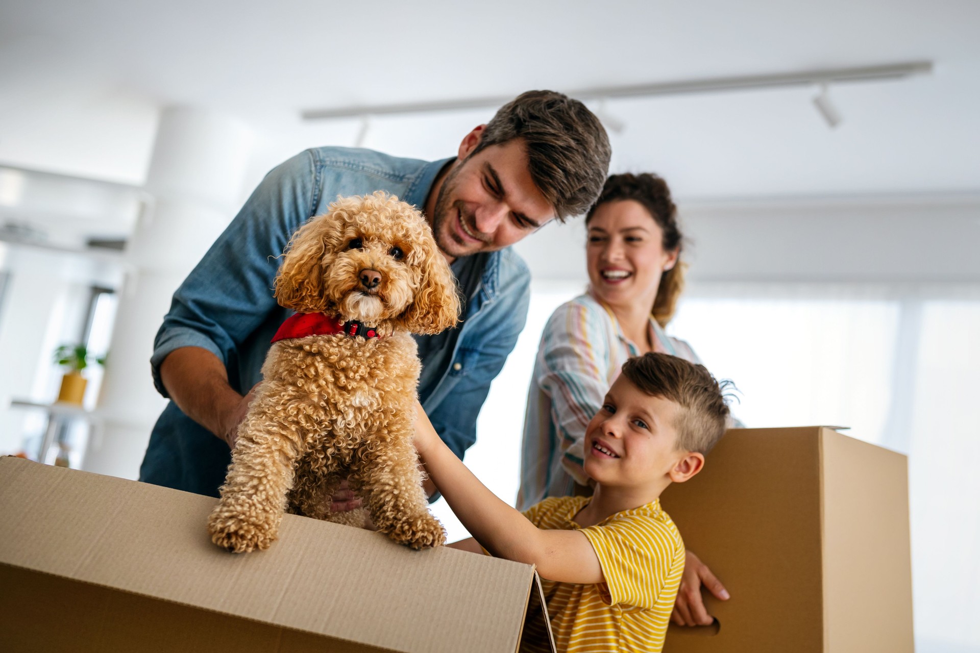 Happy family unpacking boxes in new home on moving day